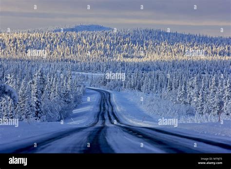 Sweden, Swedish Lapland, Gällivare, winter, winter scenery Stock Photo ...