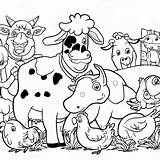 Fazenda Animais Colorare Fattoria Animali Bambini Muitos Fazendeiro  sketch template