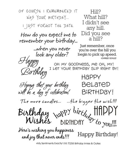 My Sentiments Exactly Clear Stamps 6"X8" Sheet-BirthdayMy Sentiments Exactly Clear Stamps 6"X8 ...