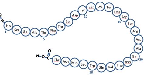 World of Biochemistry (blog about biochemistry): Glucagon