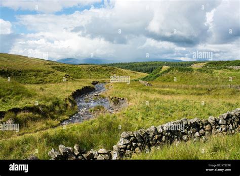 Galloway forest park hi-res stock photography and images - Alamy