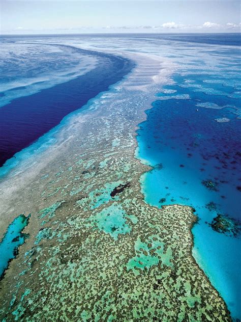 Australia Unveils Its Plan to Protect Great Barrier Reef - The New York Times