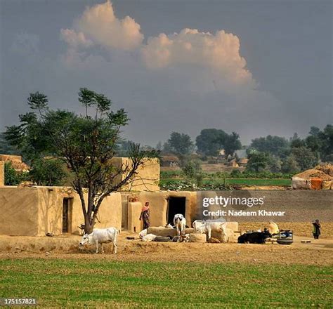 7,480 Punjab Village Stock Photos, High-Res Pictures, and Images ...