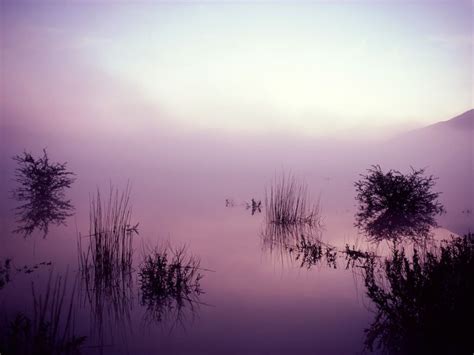 Purple Fog | Colorful wallpaper, Nature photography, Landscape