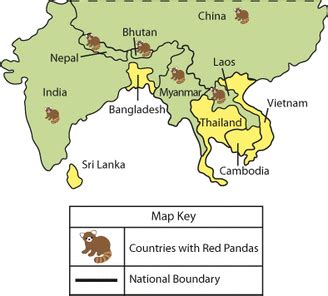 Characteristics of Population - The Red Panda