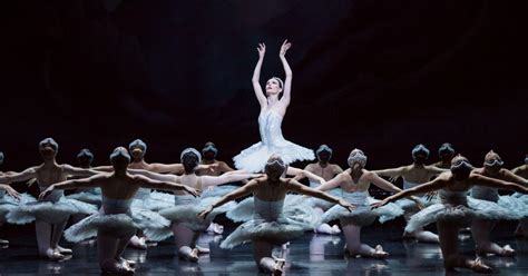 Swan Lake - The Story | The Australian Ballet