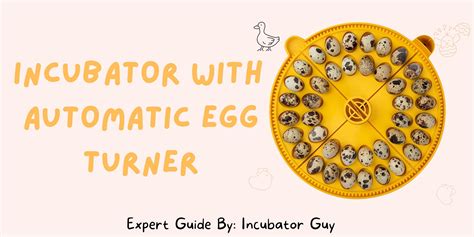 Incubator with Automatic Egg Turner - Get your Incubator Today