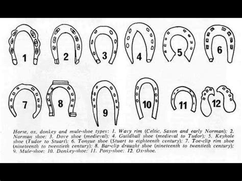 Horseshoe identification – West Kent Detector Club