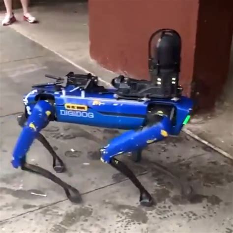 Those 'Black Mirror' Robot Dogs Are Cops Now | Exclaim!