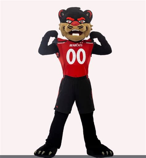 The Bearcat | Mascot Hall of Fame