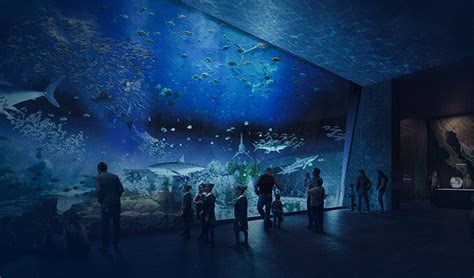 Visit the Mazatlan Aquarium - OCCAN Properties