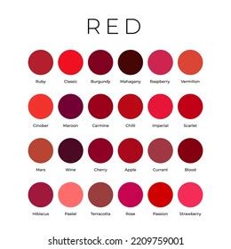 Red Color Shades Swatches Palette Names Stock Vector (Royalty Free) 2209759001 | Shutterstock