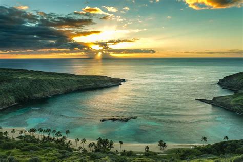 How Pandemic-Related Closures Allowed Oahu's Hanauma Bay to Recover