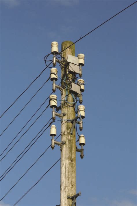 Telegraph Pole Appreciation Day 2022 - The Telegraph Pole Appreciation Society