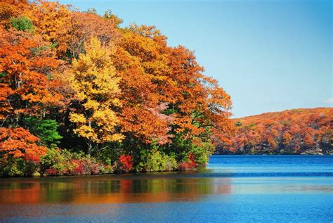 5 Reasons Why Kentucky Lake Camping is Amazing in the Fall! | Kentucky ...