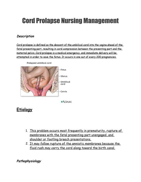 Cord Prolapse - Nursing Plan management - Cord Prolapse Nursing ...