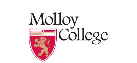 Molloy College Full Case Study | Austin Williams