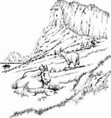 Baby Goats coloring Page  Free Printable Coloring Pages sketch template