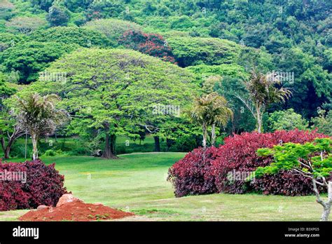 View of National Tropical Botanical Garden Kauai Hawaii Stock Photo - Alamy