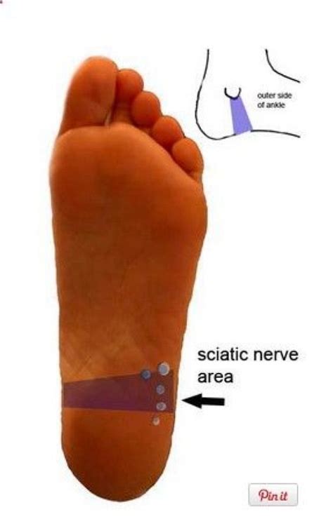 Pin on Psoas Pain