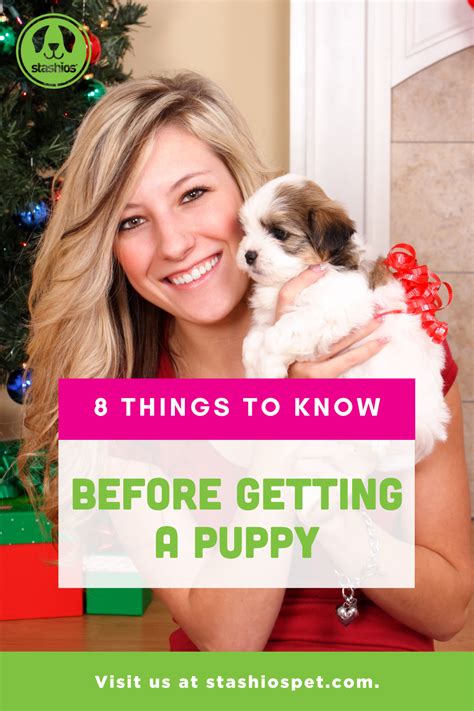 8 Things to Know Before Getting a Puppy - Stashiopet | Getting a puppy ...