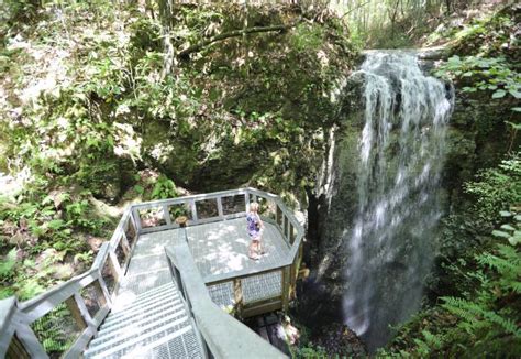 Falling Waters State Park | Florida State Parks