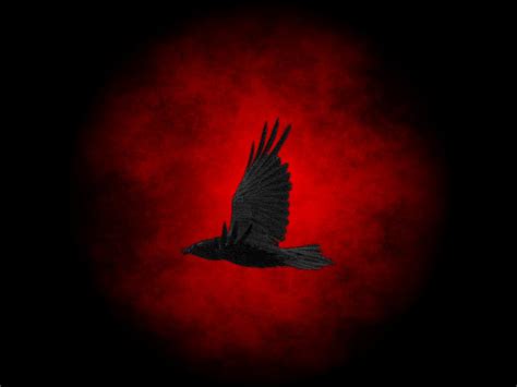 🔥 [50+] Dark Raven Wallpapers | WallpaperSafari