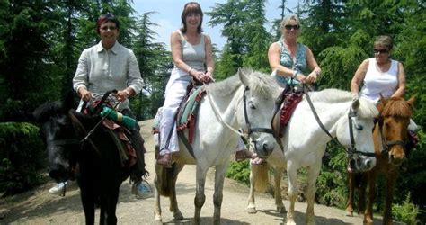 Shimla Kufri Chail Mashobra Naldehra Tour Package | Shimla Kufri Chail ...