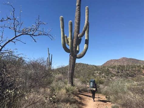 Thru-Hiking the Arizona Trail- everything you need to know