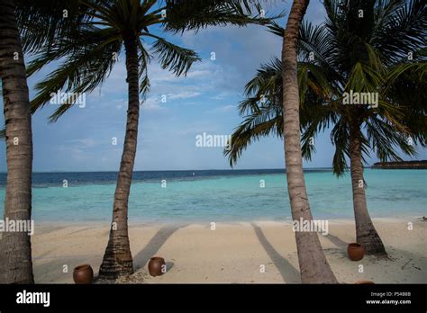 Tropical beach at lagoon in Maldives Stock Photo - Alamy