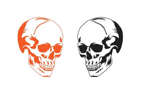 Human Skull Vector Art Graphic by Sakil Design · Creative Fabrica