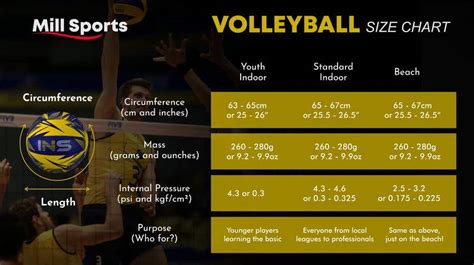 Entry #22 by andreandro for Infographic/Image Design - Volleyball Size Guide | Freelancer