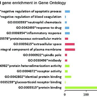 KEGG pathway enrichment analysis. KEGG, Kyoto Encyclopedia of Genes and... | Download Scientific ...