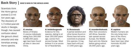 Ancient DNA suggests new hominid line | Human evolution, Ancient people ...