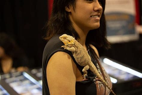 #1 Reptile Expo | Reptile Super Show | Get Your Ticket Online