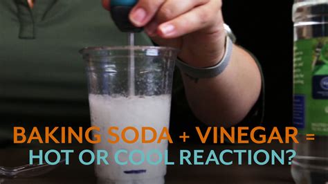 Vinegar and Baking Soda Reaction: Heat Up or Cool Down? - Vernier