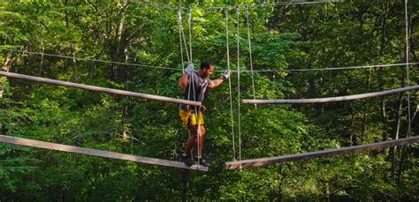 Team-Building Adventures: Bonding And Collaboration In Outdoor Group ...