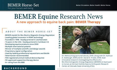 BEMER Equine Therapy for Horses | What You Should Know