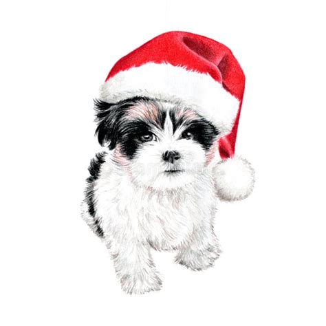 Cute Christmas Puppy Dog with Santa Hat Illustration. Hand Drawn ...