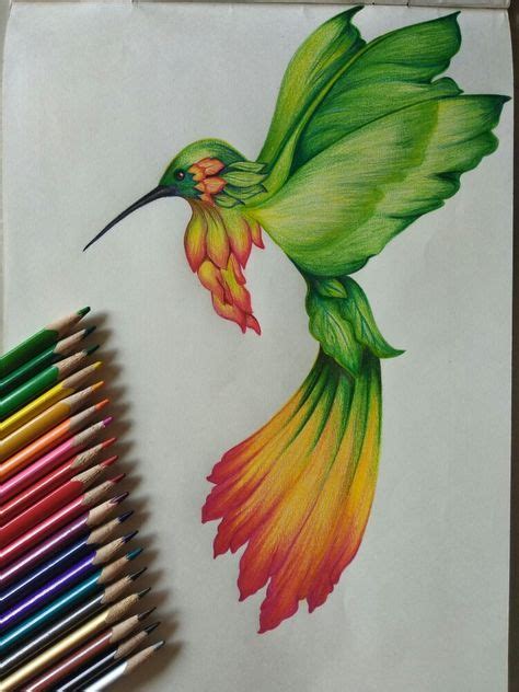Top 10 color pencil sketch ideas and inspiration