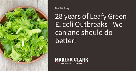 28 years of Leafy Green E. coli Outbreaks - We can and should do better! | Marler Blog