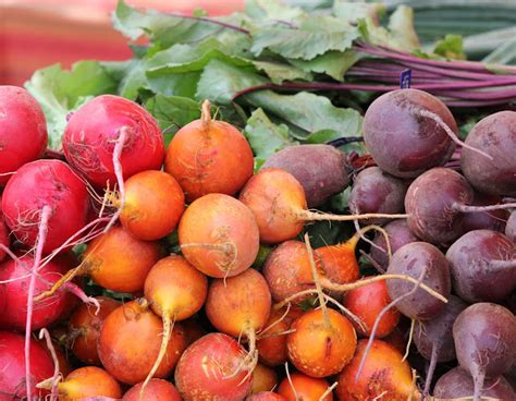 Arctic Garden Studio: Boulder Farmers' Market