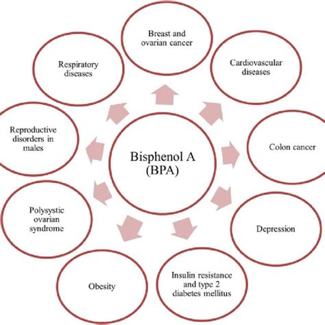 1 Hazardous effect of bisphenol A | Download Scientific Diagram