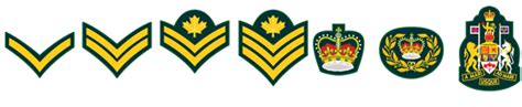 Un cadet royal de l'armée canadienne: Grades des cadets de l'armée (RCAC)