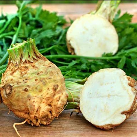 Celeriac - Stillman's Farm Produce Info