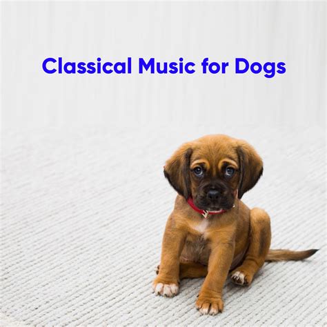 Dog Classical》- Classical Music for Dogs的专辑 - Apple Music