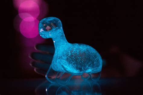 Bioluminescent Animals