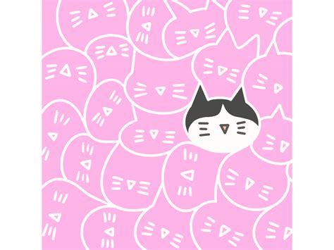 cat~ motion by Qiu Xi on Dribbble