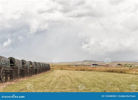 Laager of Ox-wagons at Bloedrivier with Ncome Museum Visible Editorial Stock Photo - Image of ...