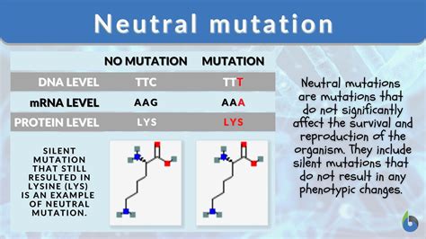 Neutral mutation - Definition and Examples - Biology Online Dictionary